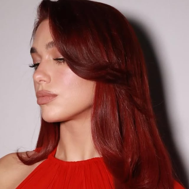 Mid-Back Straight Hair With Face-Framing Layers Mid-Back Straight Hair With Face-Framing Layers — Black Cherry Hair