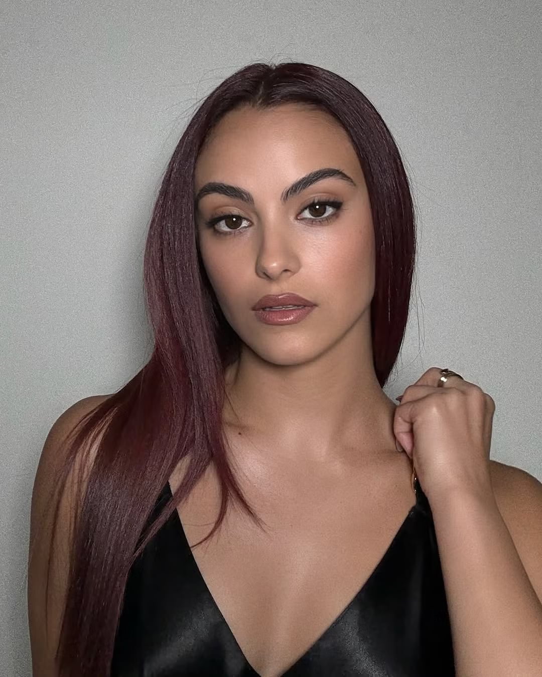 Air-Dried Mid-Back Straight Hair Air-Dried Mid-Back Straight Hair — Black Cherry Hair
