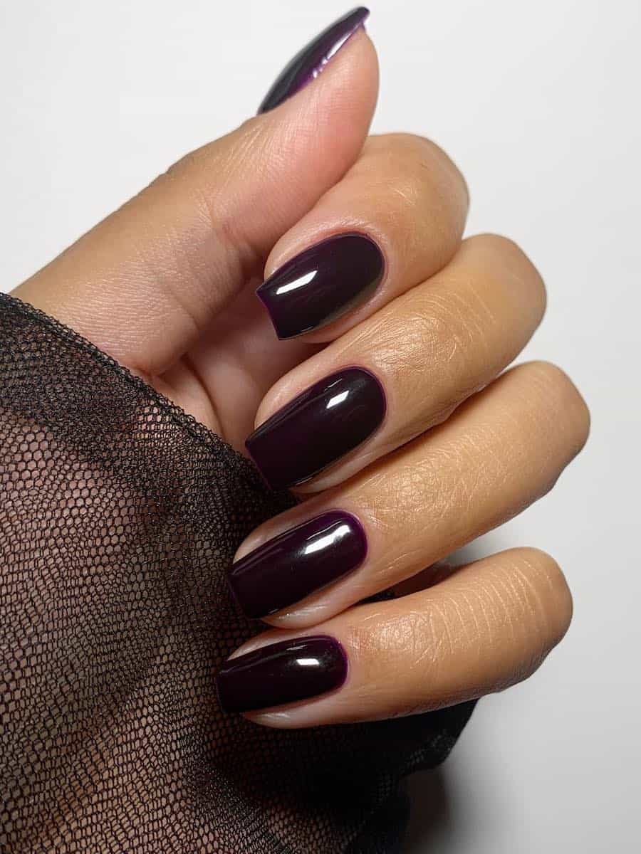 Short-Medium Square Deep Plum Glossy Nails, With A High-Shine Finish — Black Cherry Nails