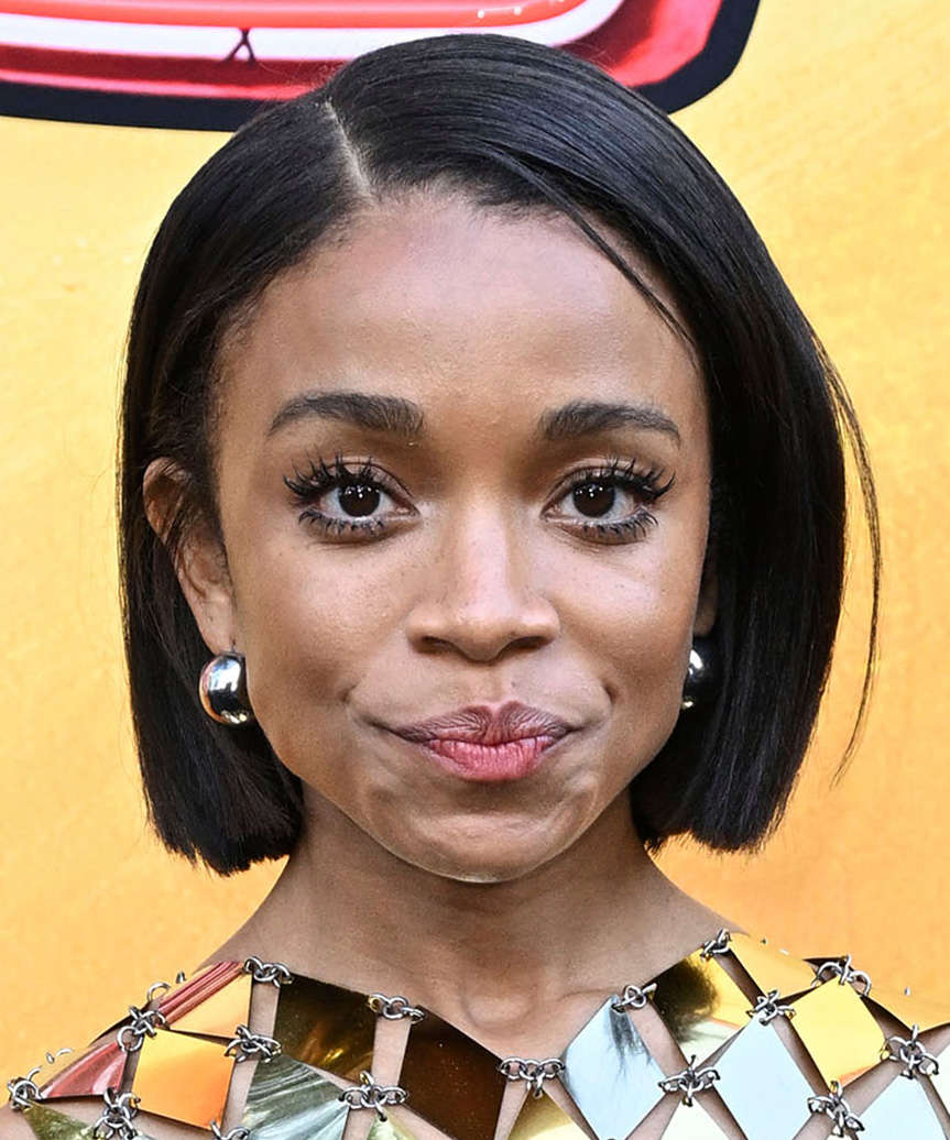 Sharp Black Chin Length Bob, Straight Sharp Black Chin Length Bob, Straight — Blunt Bob