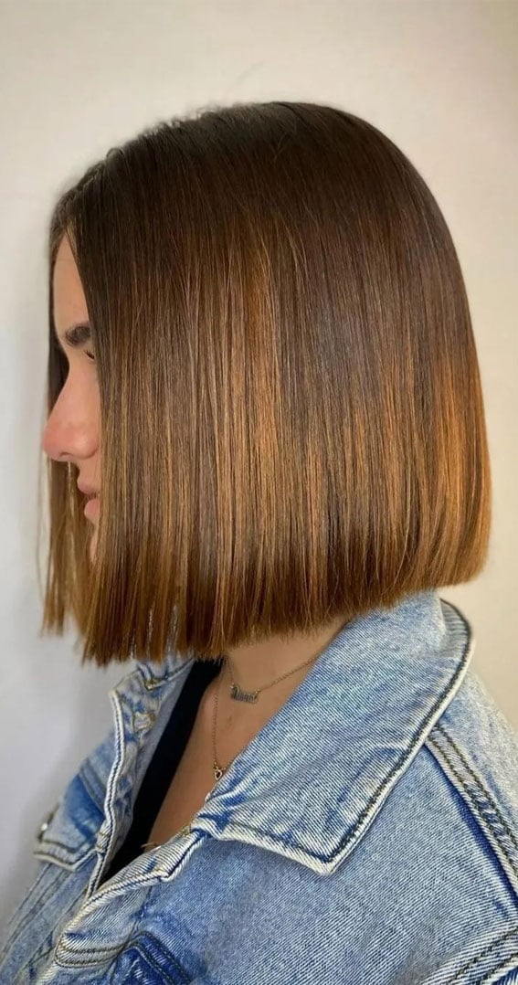 Thick Medium Brown Bob With Precise Cut Thick Medium Brown Bob With Precise Cut — Blunt Bob