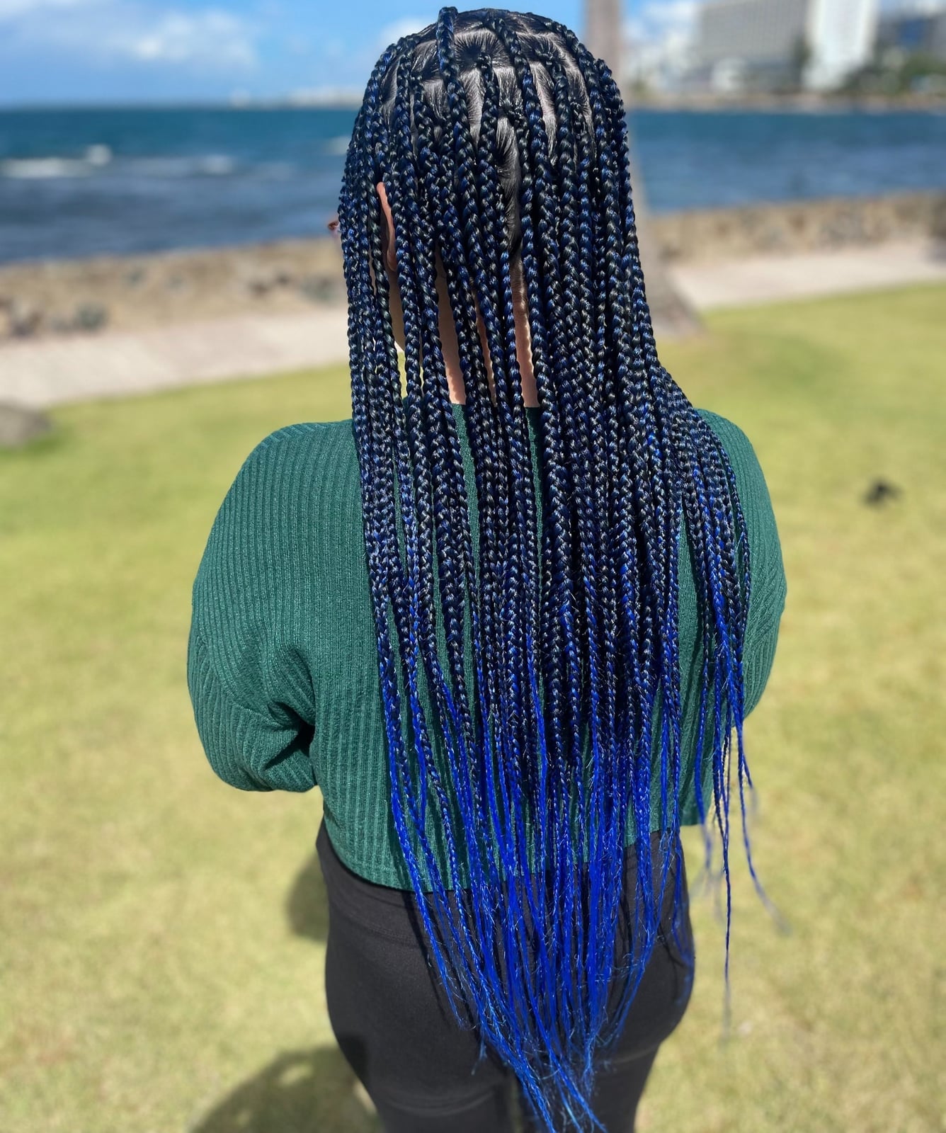 Box Braids 2027 for Collarbone Length Styles