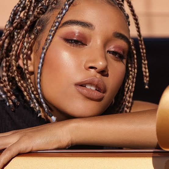 Chin Length Box Braids With Subtle Highlights — Braids for Short Hair