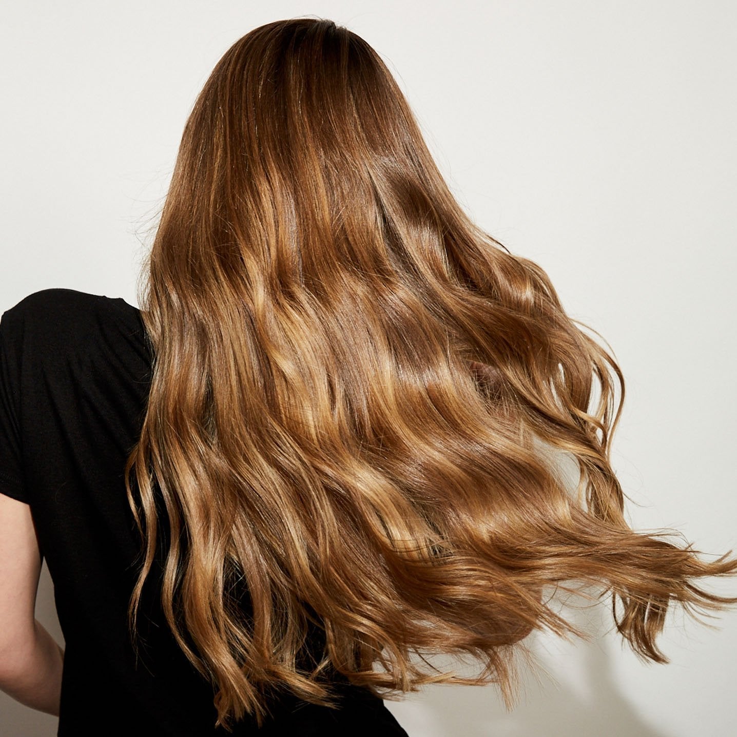 Warm Brown Base With Golden Highlights — Bronde Hair