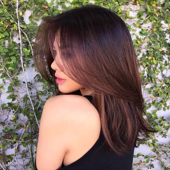 Collarbone Length With Dark Brown and Caramel Highlights — Bronde Hair