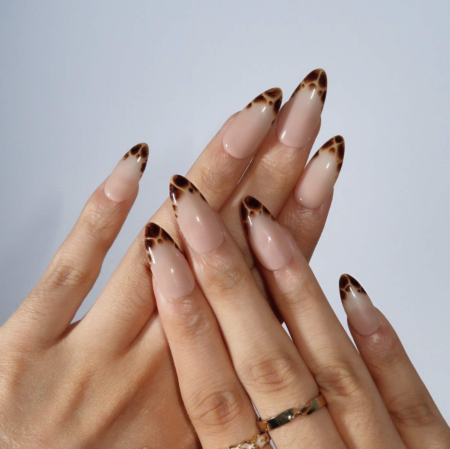 Long Almond Sheer Nude Dark Brown Fine Line French Nails — Caramel Nails
