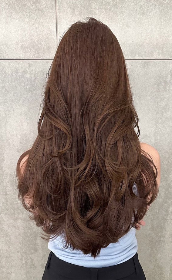 Soft Chocolate Brown Blowout — Chocolate Brown Hair