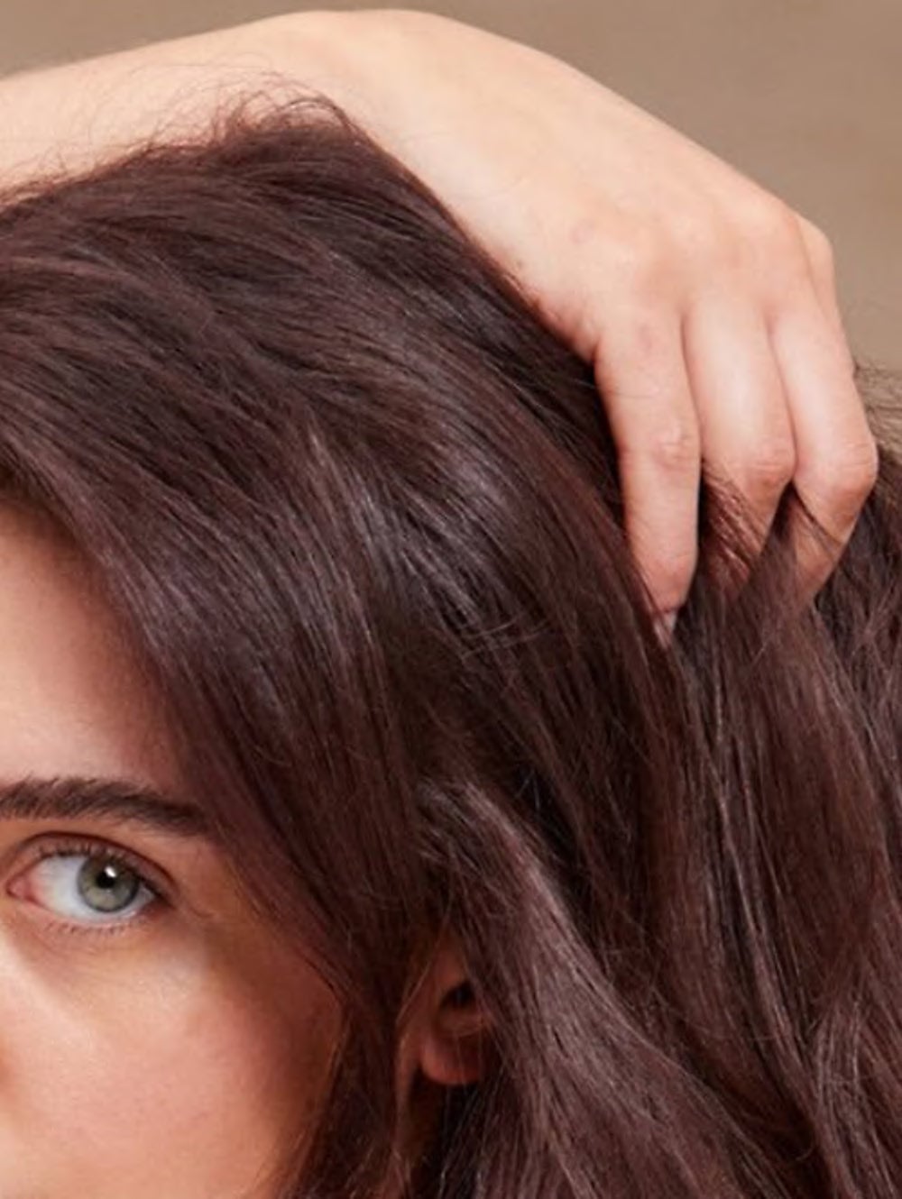 Collarbone Chocolate Brown With Face-Framing Layers — Chocolate Brown Hair
