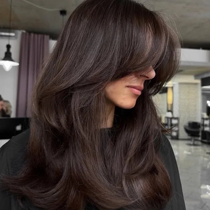 Mid-Back Wavy Hair With Lighter Brown Highlights — Chocolate Brown Hair