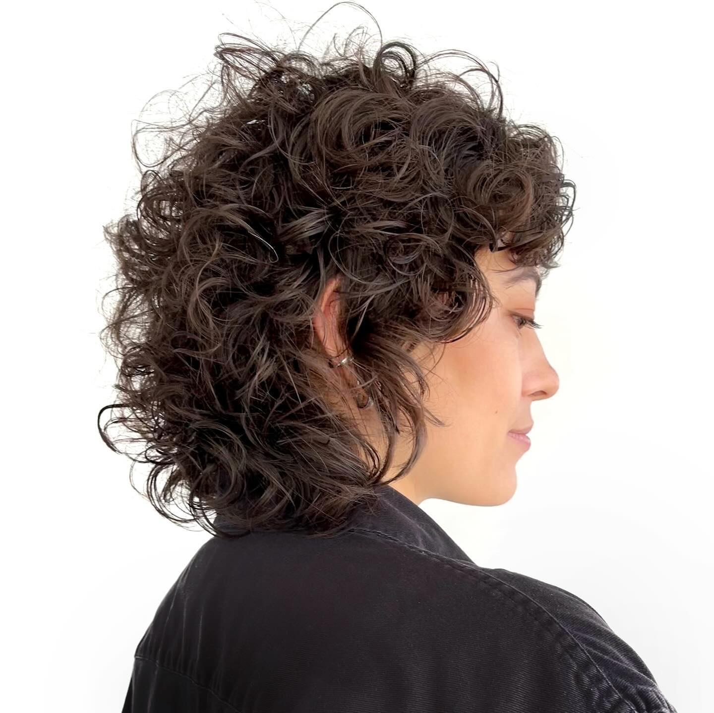 Dark Brown Collarbone Shag With Voluminous Curls Dark Brown Collarbone Shag With Voluminous Curls — Curly Shag