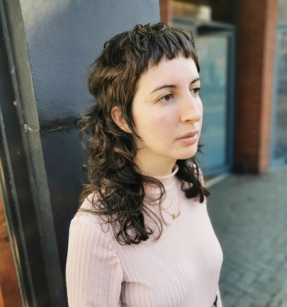 Dark Brown Collarbone Shag With Micro Bangs, Middle Dark Brown Collarbone Shag With Micro Bangs, Middle — Curly Shag