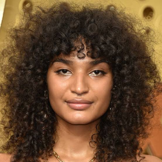 Shoulder Length Dark Brown Wolf Cut With Volume — Curly Wolf Cut