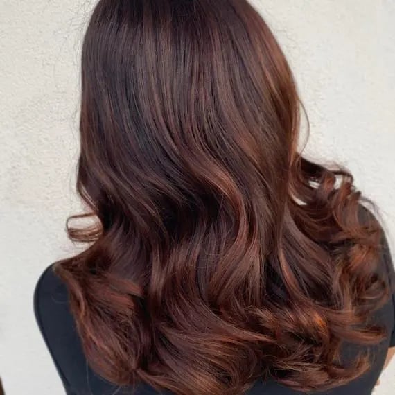 Collarbone Layers Dark Auburn With Copper Highlights — Dark Auburn Hair