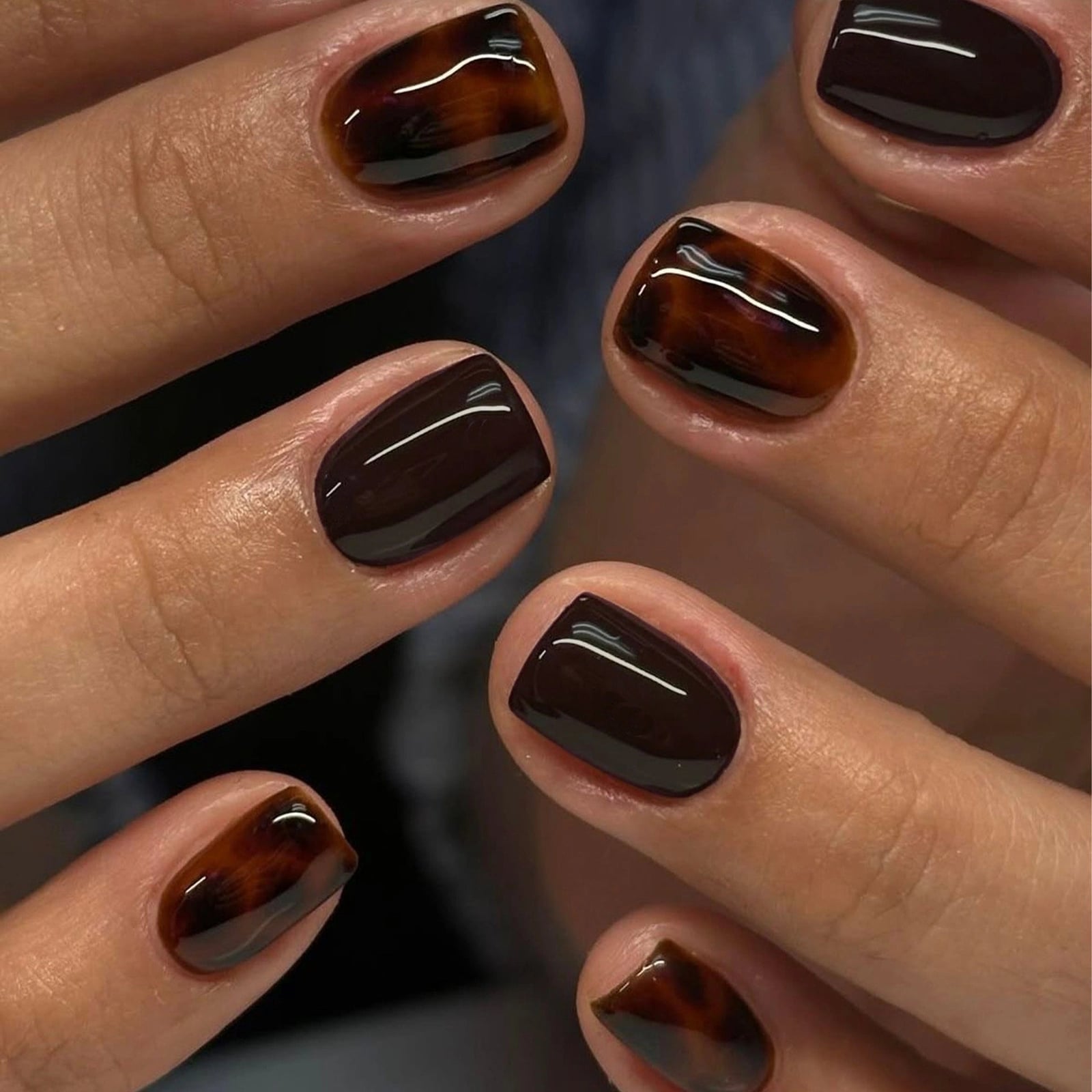 Amber Glass Effect Short Square Nails Amber Glass Effect Short Square Nails — Espresso Nails