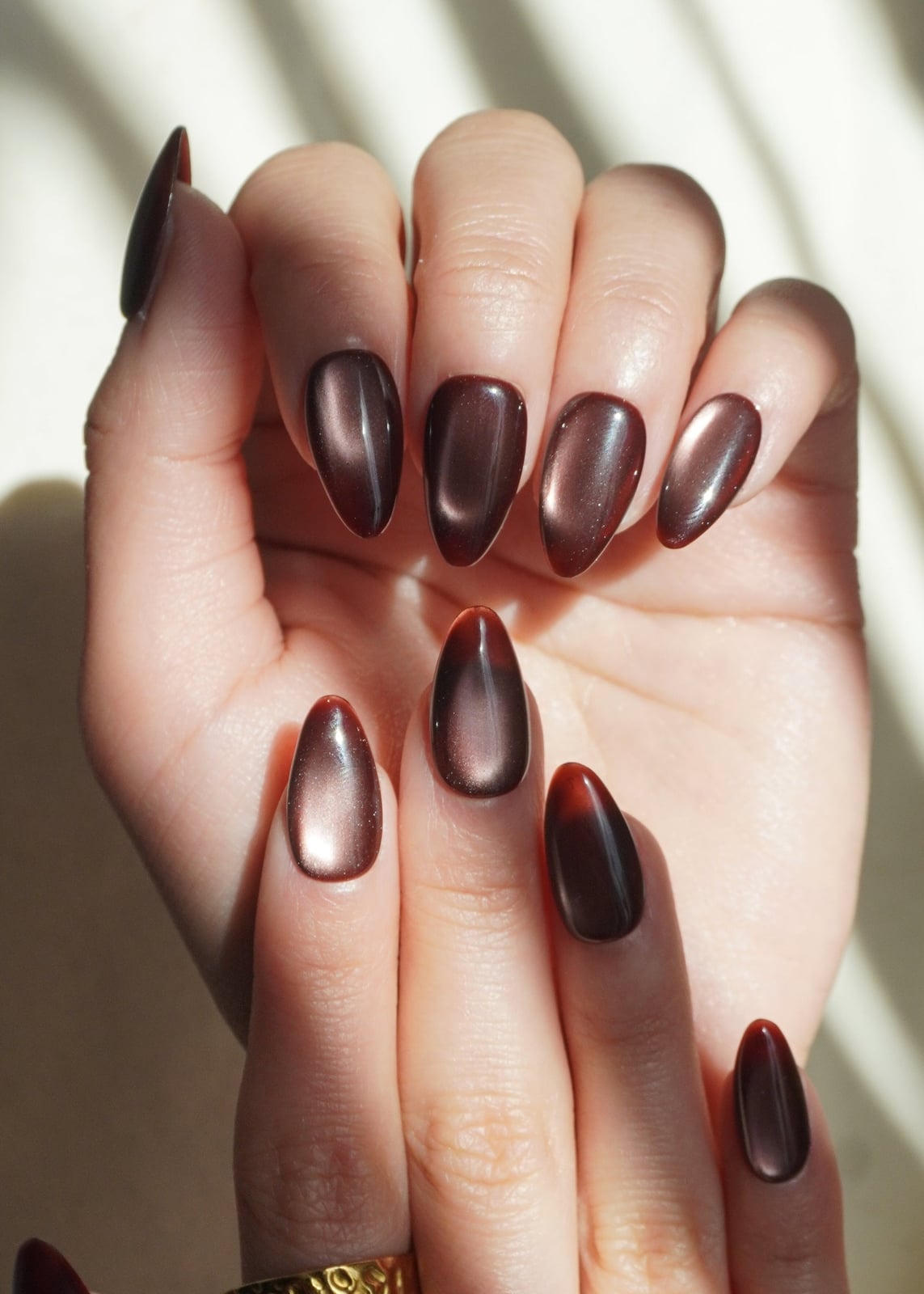Deep Brown Metallic Cat-Eye Medium Almond Nails, Close-Up Take Deep Brown Metallic Cat-Eye Medium Almond Nails, Close-Up Take — Espresso Nails