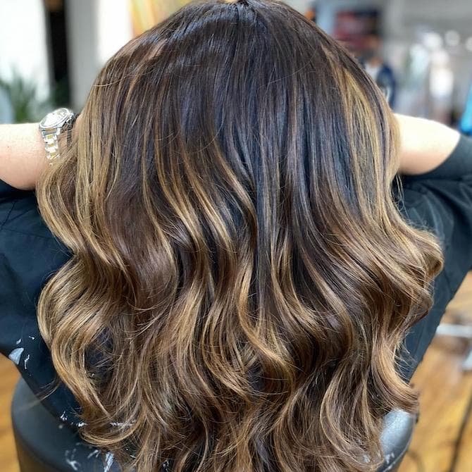 Dark Brown With Golden Brown Highlights Back View Dark Brown With Golden Brown Highlights Back View — Expensive Brunette