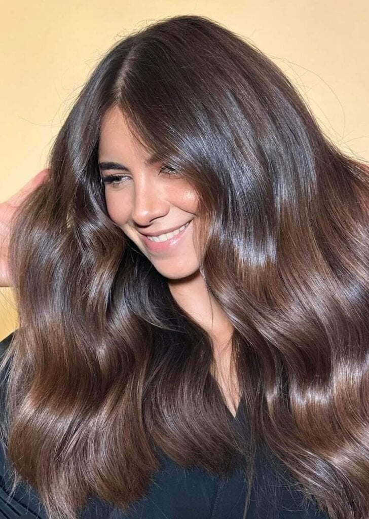 Dark Brown With Caramel Highlights Dark Brown With Caramel Highlights — Glossy Brunette