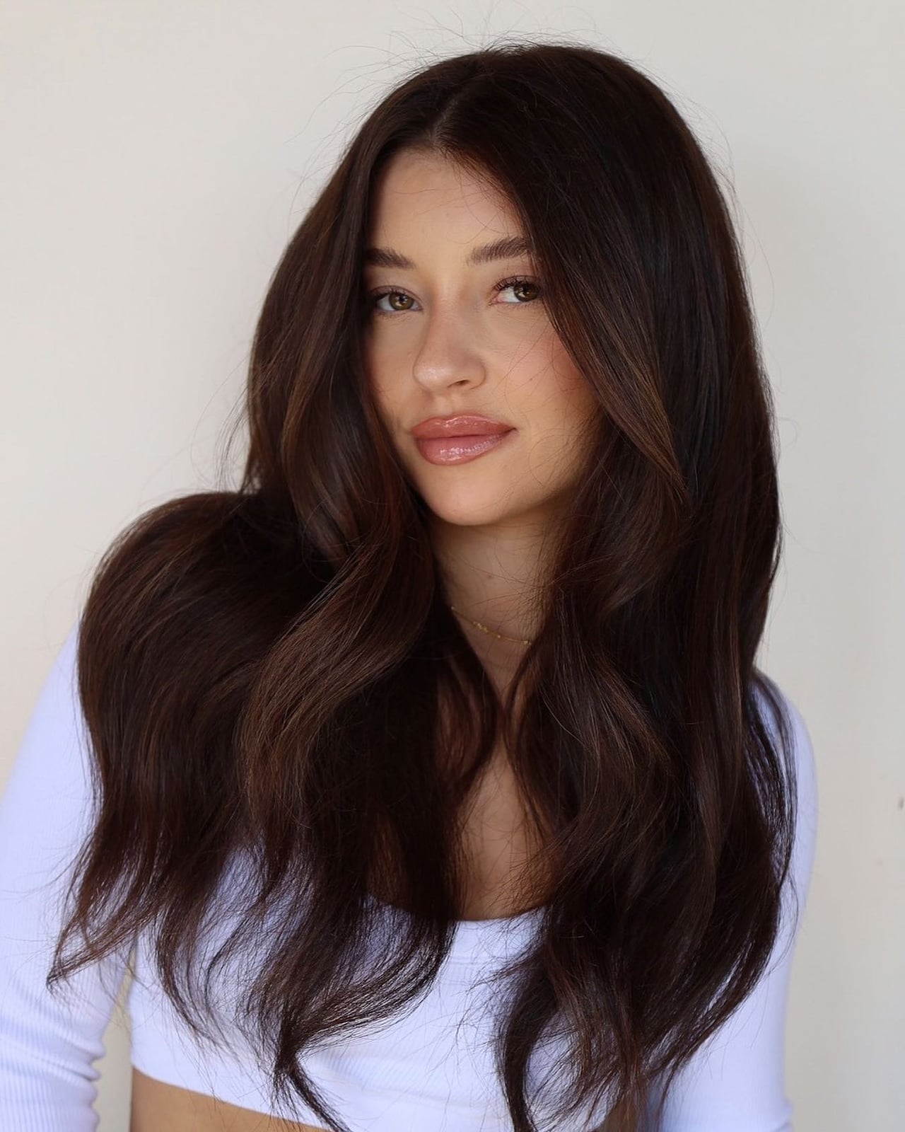 Dark Brown With Subtle Caramel Highlights Dark Brown With Subtle Caramel Highlights — Hair Color for Brown Eyes