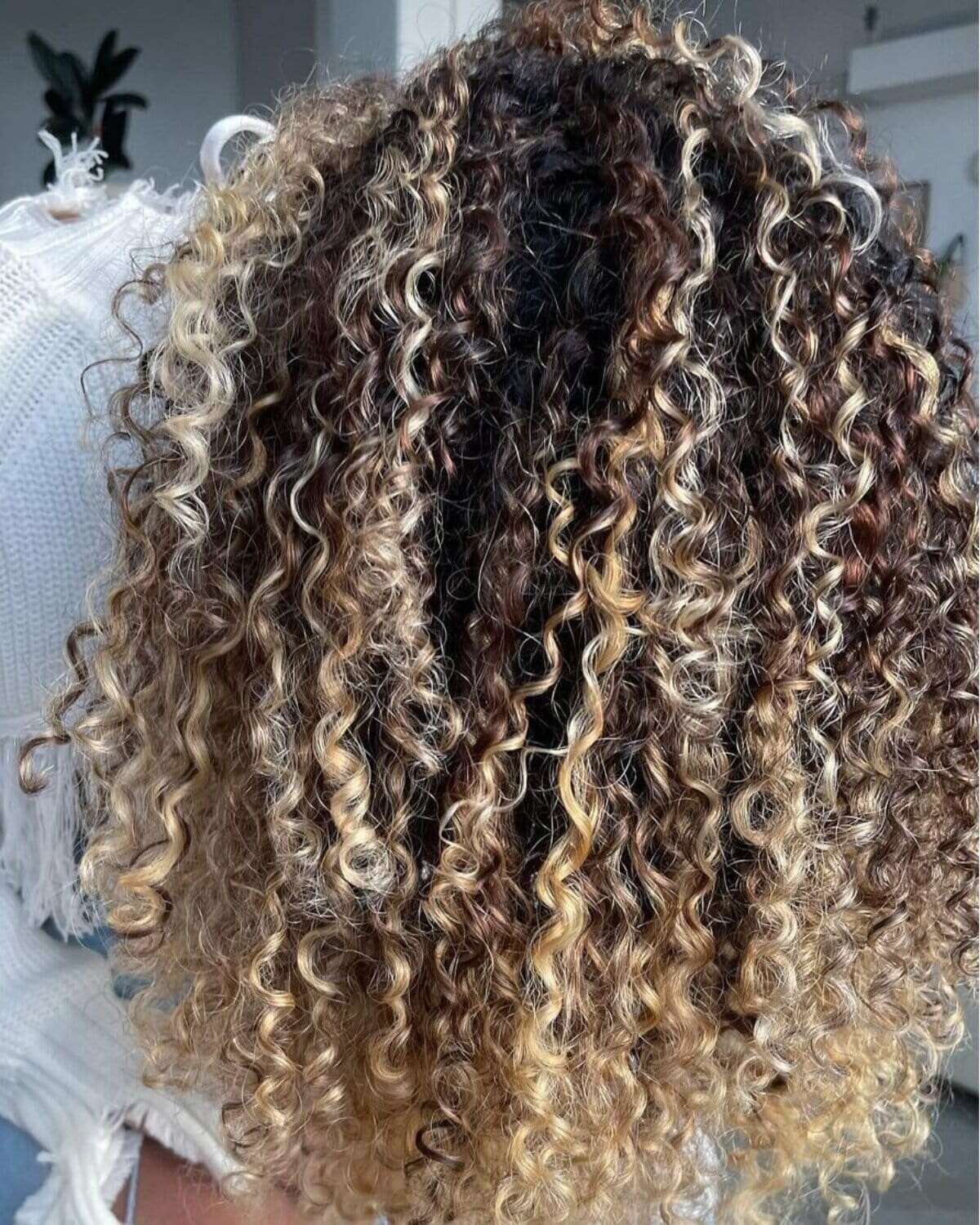 Collarbone Dark Brown With Blonde Highlights, Close-Up Take Collarbone Dark Brown With Blonde Highlights, Close-Up Take — Hair Color for Curly Hair