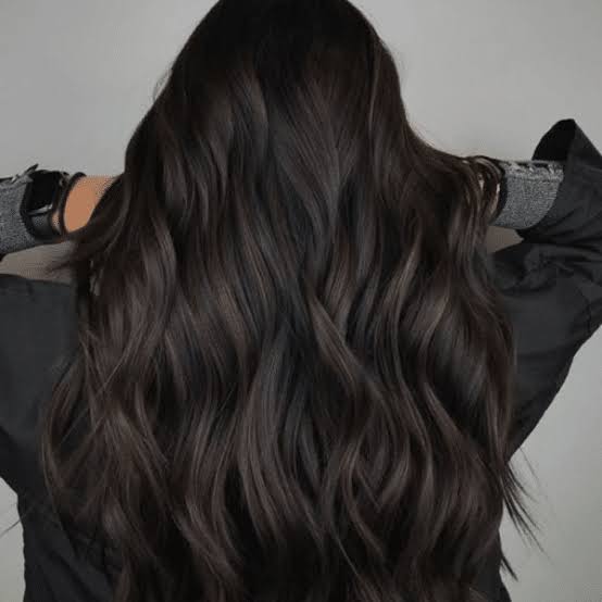 Mid-Back Dark Brown With Ash Brown Highlights, Wavy Mid-Back Dark Brown With Ash Brown Highlights, Wavy — Hair Color Ideas for Dark Hair