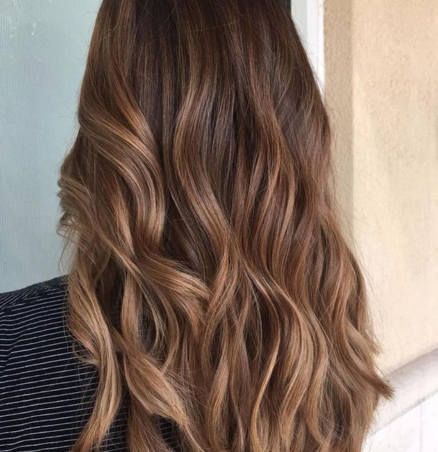 Medium Brown With Caramel Highlights Mid-Back Back View Medium Brown With Caramel Highlights Mid-Back Back View — Highlights on Brown Hair