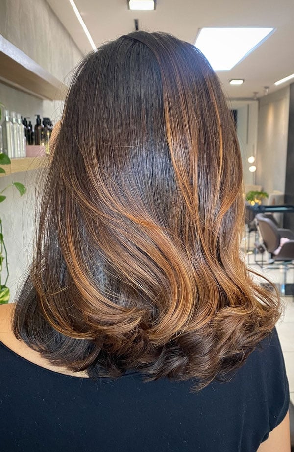Dark Brown With Caramel Highlights Mid-Back Back View, Close-Up Take Dark Brown With Caramel Highlights Mid-Back Back View, Close-Up Take — Highlights on Brown Hair