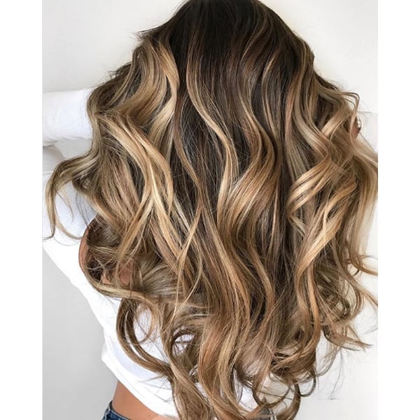 Mid-Back Curls With Dark Brown Base and Honey Balayage