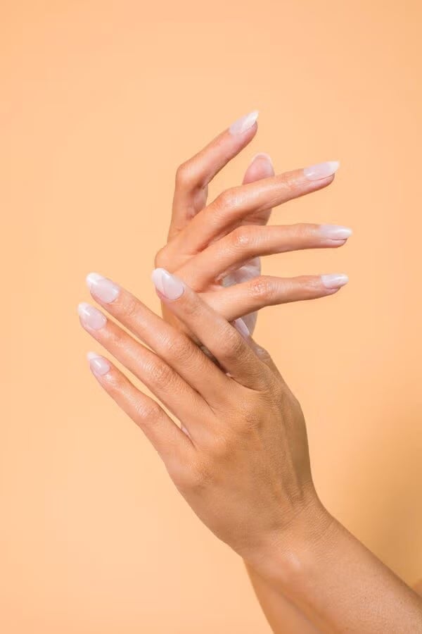 Sheer Pink Medium Almond French Nails Sheer Pink Medium Almond French Nails — Interview Nails