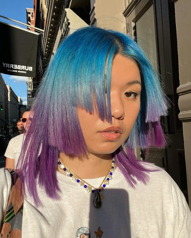 Fine Straight Purple Blue Ombre — Jellyfish Haircut