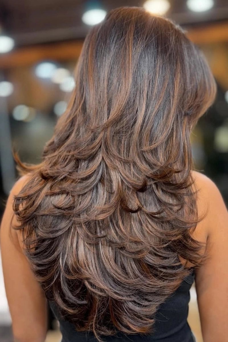 Mid-Back Dark Brown With Cascading Caramel Highlights Mid-Back Dark Brown With Cascading Caramel Highlights — Layered Hair