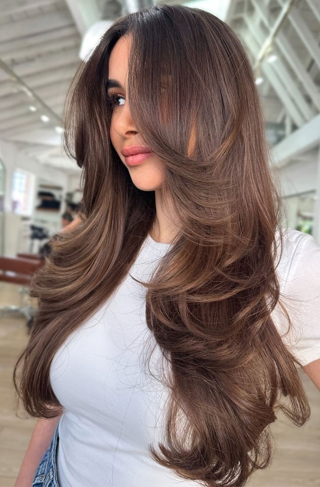 Mid-Back Rich Brown With Voluminous Layers Mid-Back Rich Brown With Voluminous Layers — Layered Hair