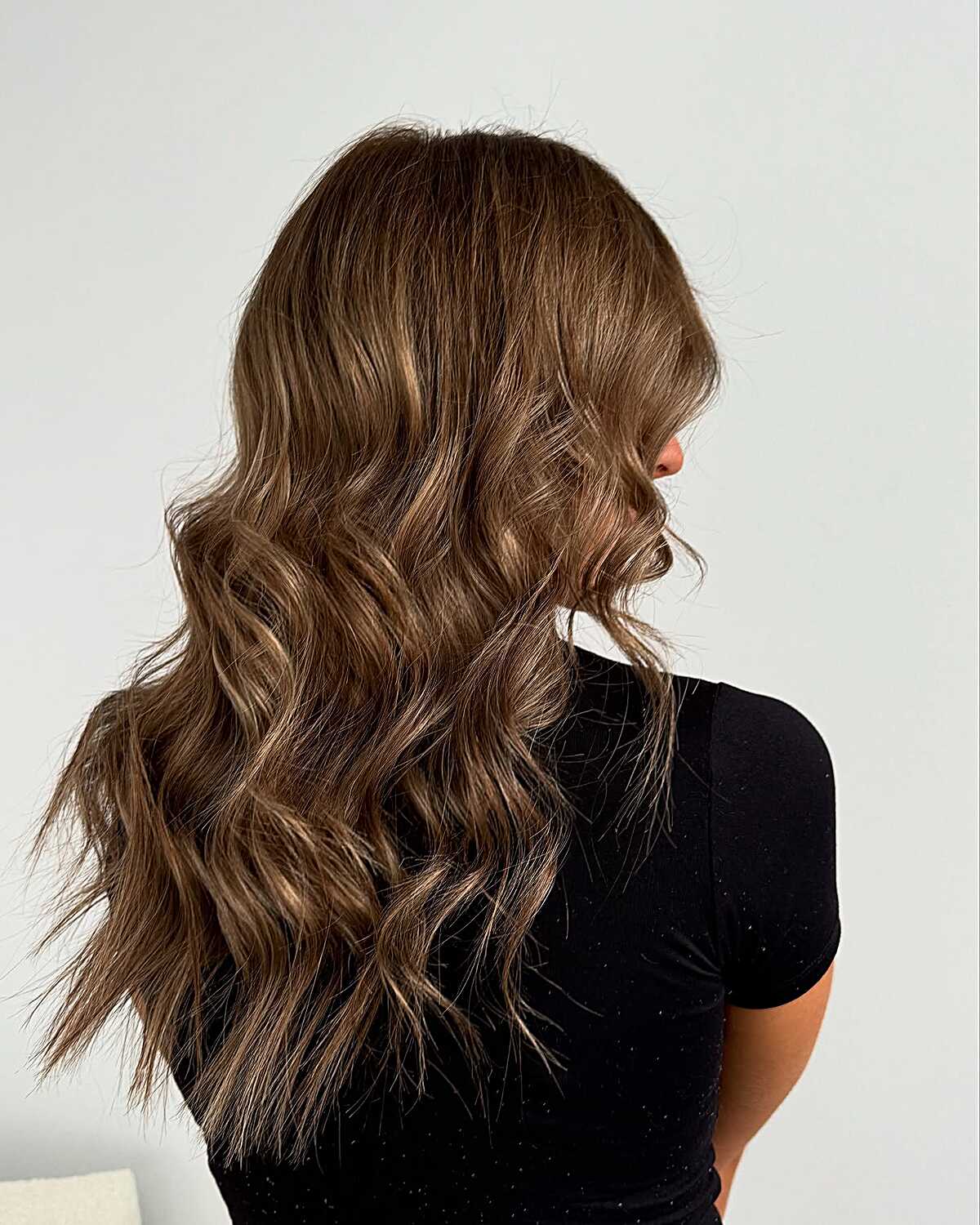 Mid-Back Brunette With Balayage Highlights Mid-Back Brunette With Balayage Highlights — Lived In Brunette
