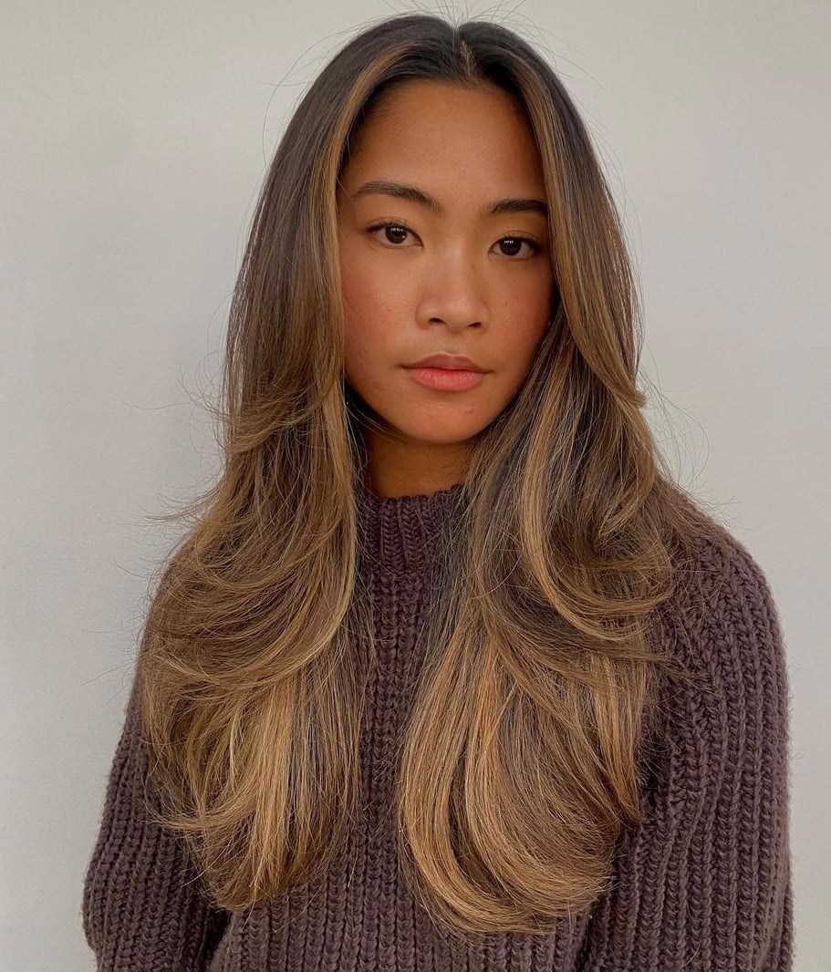 Dark Brown Blonde Highlight Face-Framing Layers Dark Brown Blonde Highlight Face-Framing Layers — Long Layers