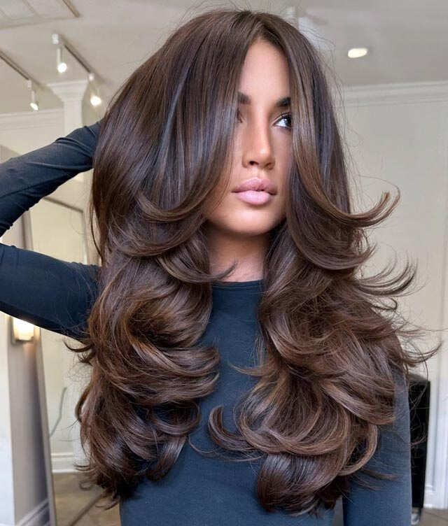 Dark Brown Subtle Highlight Long Layers Dark Brown Subtle Highlight Long Layers