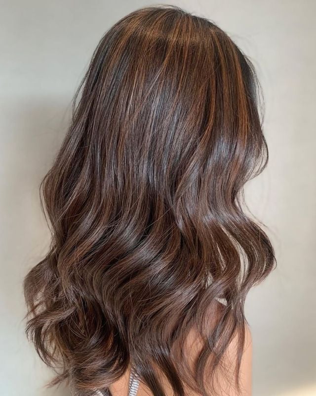 Mid-Back Rich Brown With Auburn Highlights Mid-Back Rich Brown With Auburn Highlights — Low Maintenance Hair Color