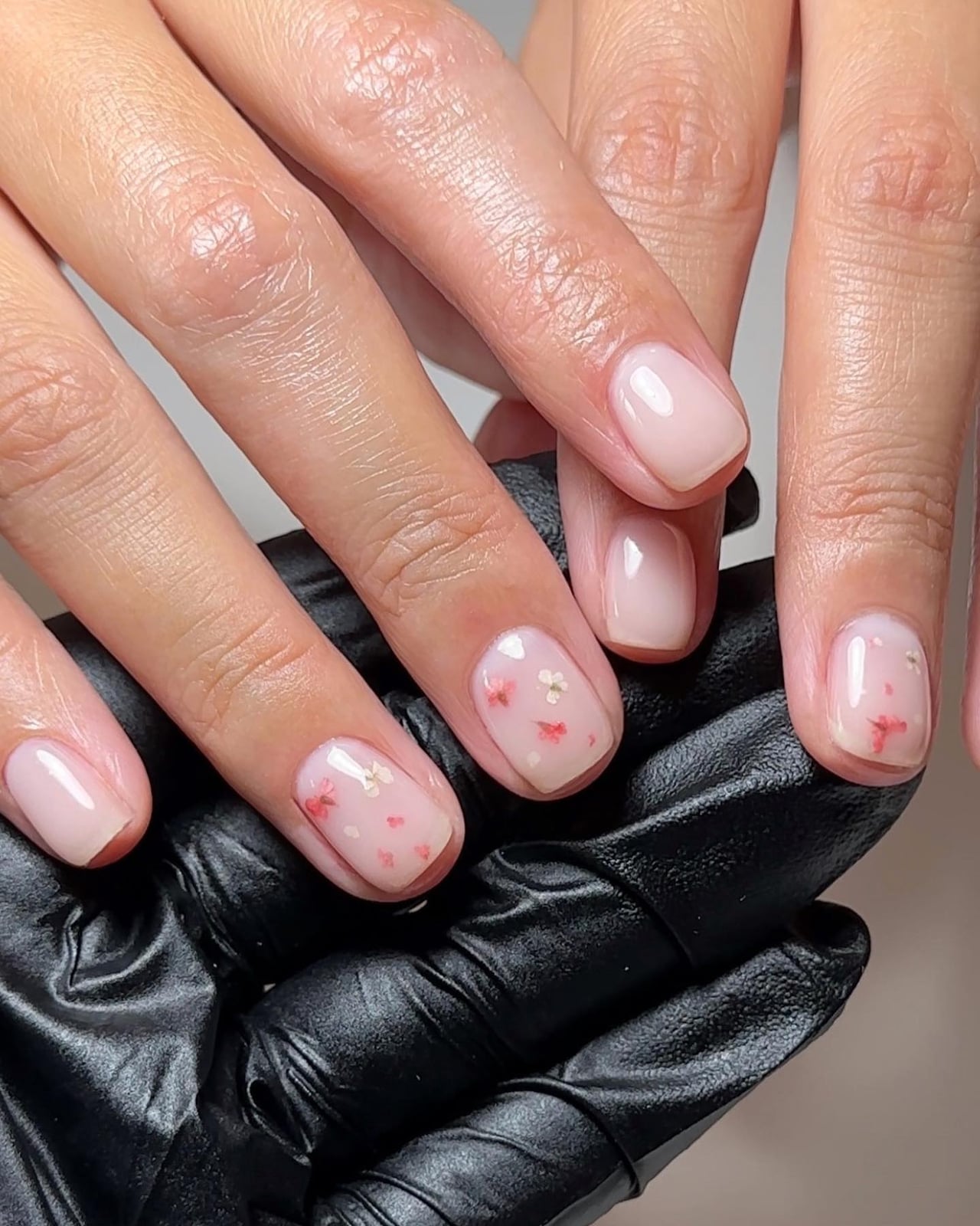 Dried Flower Accent Sheer Milky Pink Short Square Nails Dried Flower Accent Sheer Milky Pink Short Square Nails — Low Maintenance Nails