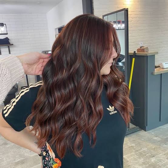 Mid-Back Mahogany With Subtle Red Highlights, Curtain Bangs — Mahogany Hair