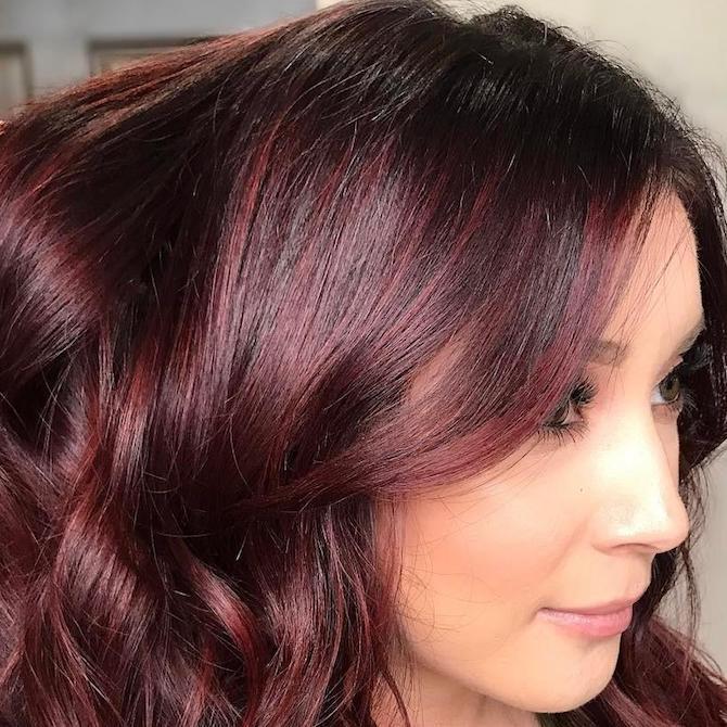 Collarbone Mahogany With Subtle Highlights — Mahogany Hair