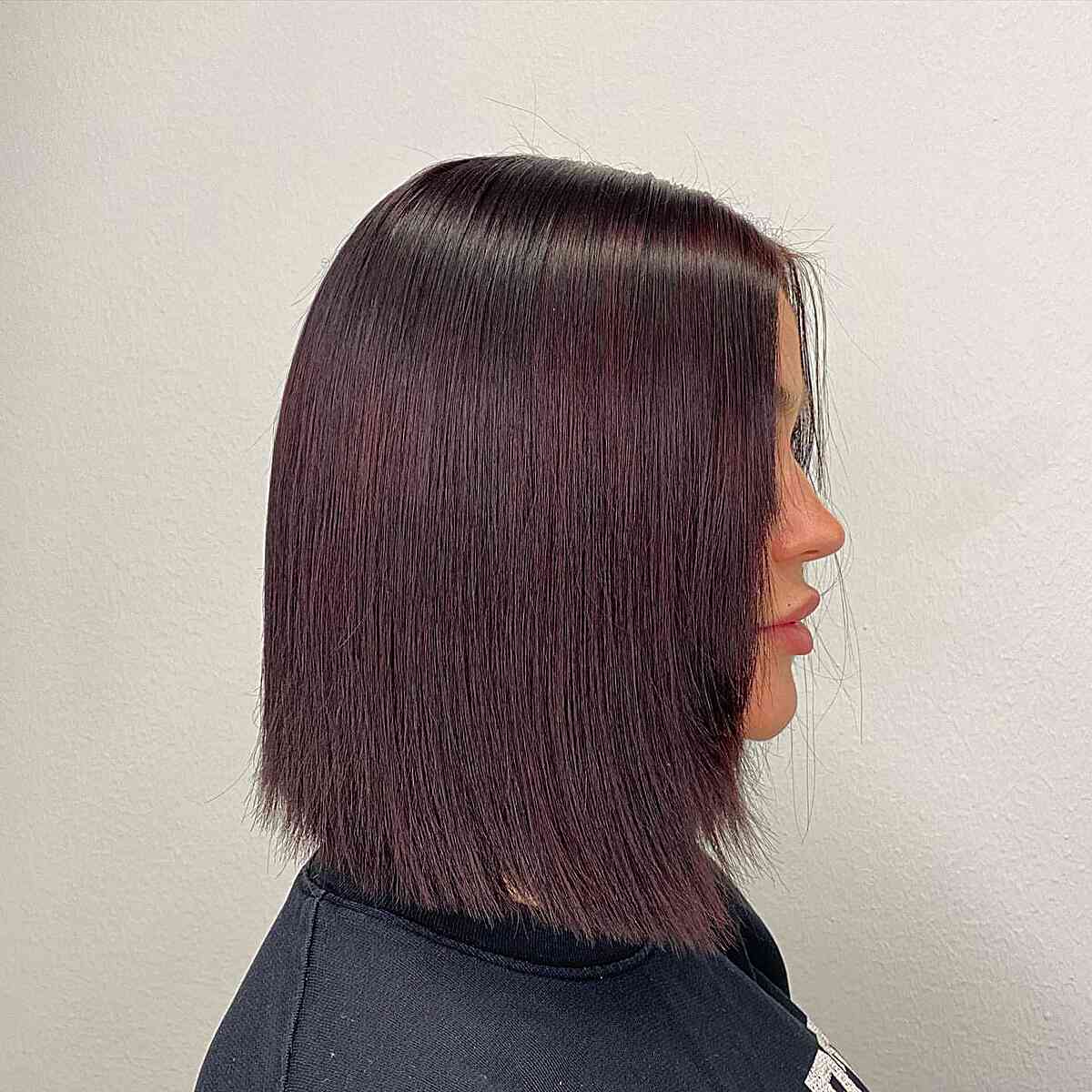 Chin Length Sleek Bob In Deep Mahogany — Mahogany Hair