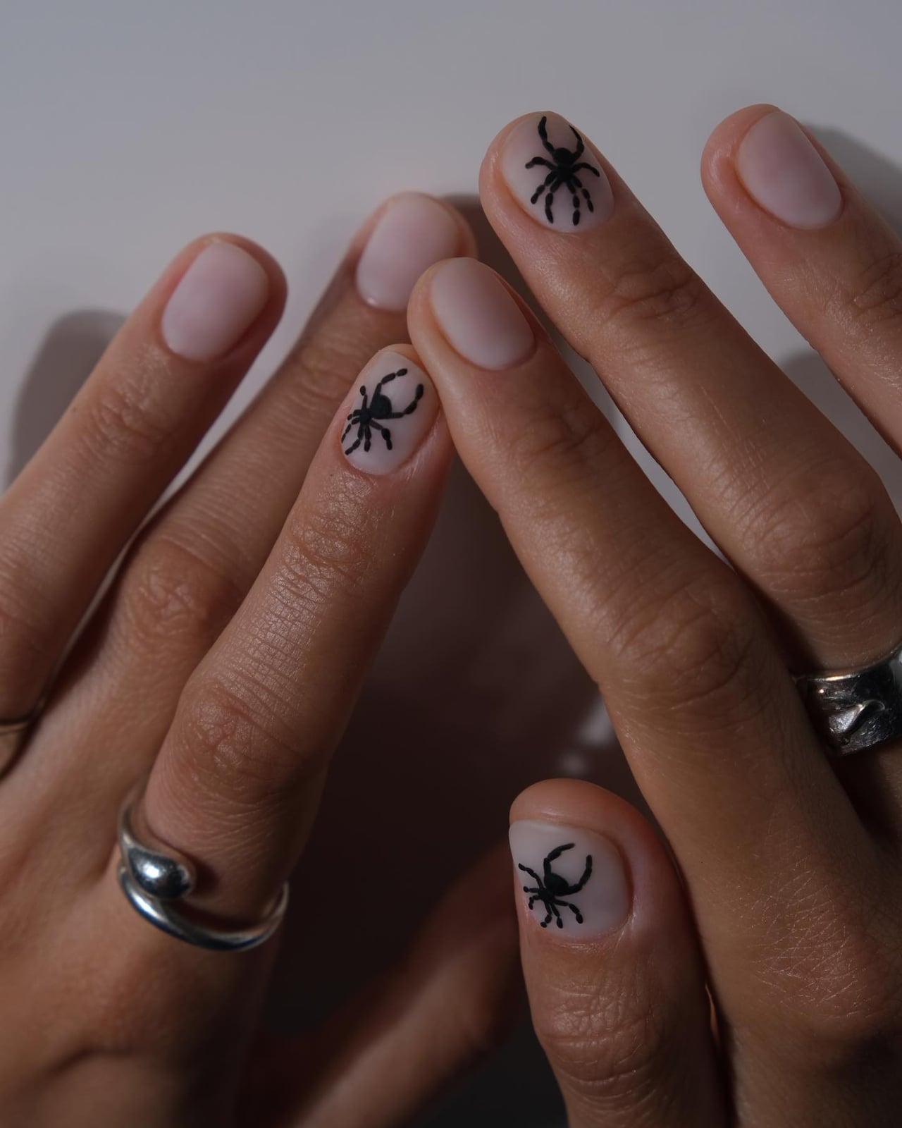 Sheer Nude Matte Nails with Black Spider Graphics