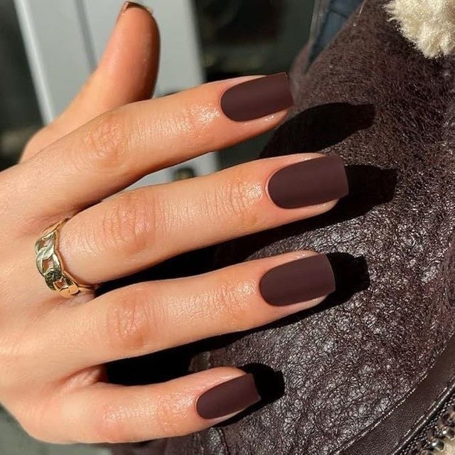 Rich Deep Brown Matte Short Square Nails — Matte Nails