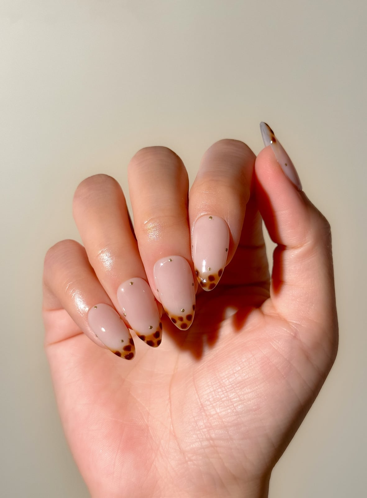 Tortoiseshell French Tip Medium Almond Nails Tortoiseshell French Tip Medium Almond Nails