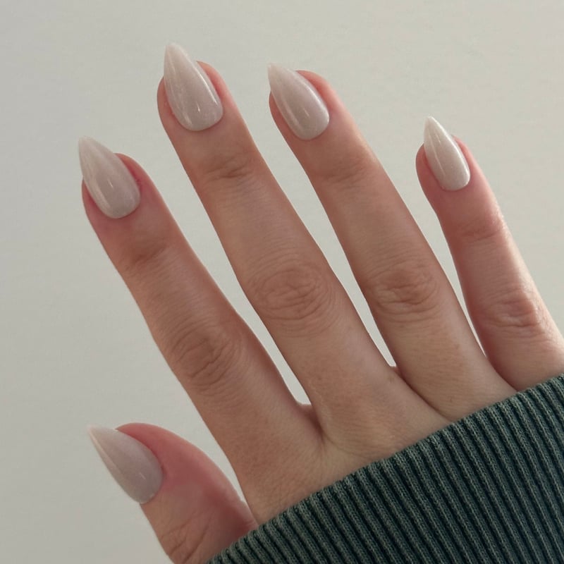 Neutral Iridescent Velvet Medium Stiletto Nails Neutral Iridescent Velvet Medium Stiletto Nails — Medium Nails