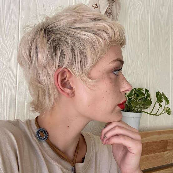 Ash Blonde Mixie With Wispy Bangs — Mixie Haircut