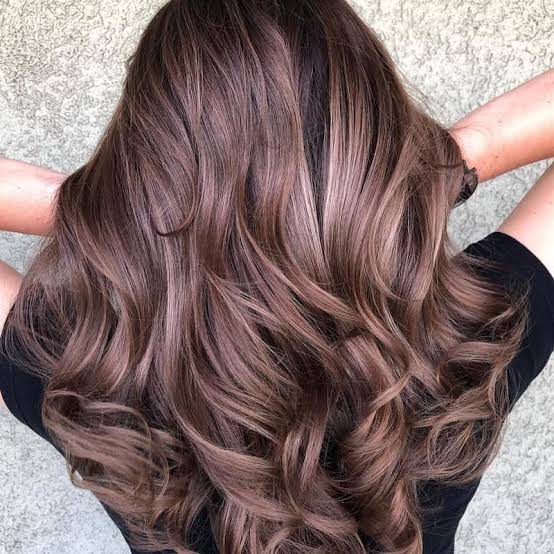 Long Wavy Mocha Brown Balayage From Back — Mocha Brown Hair