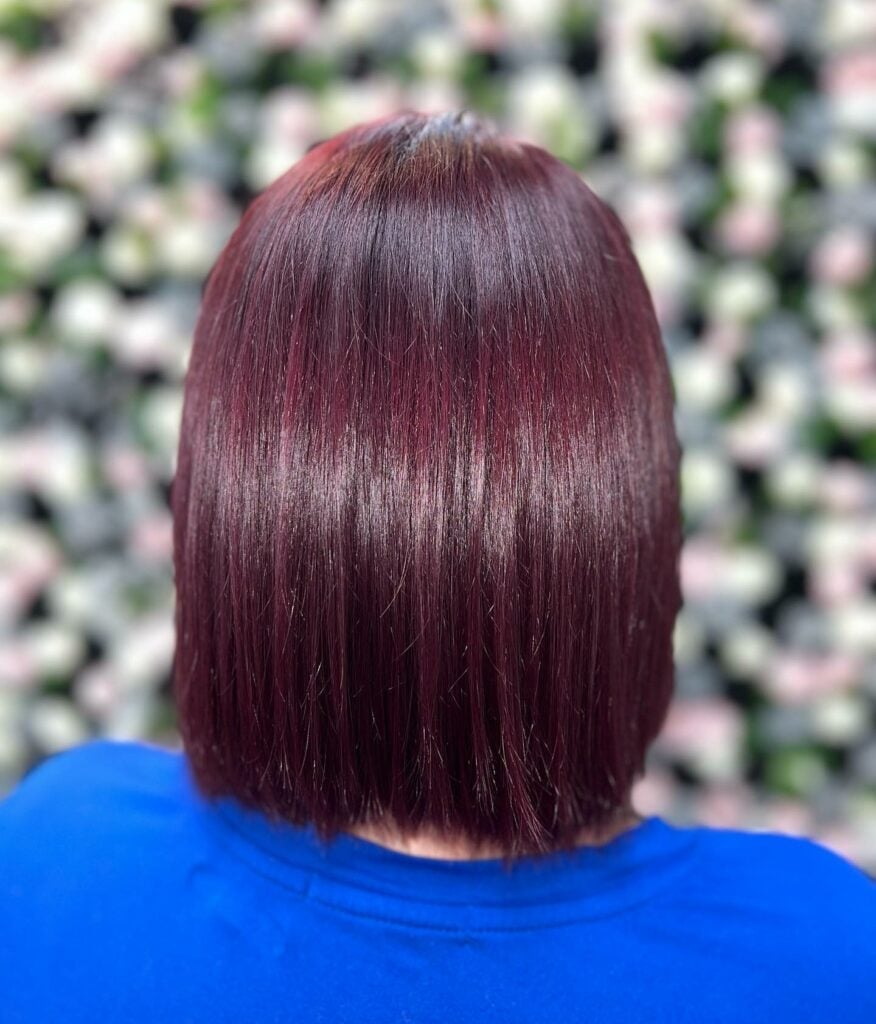 Sleek Chin Length Blunt Bob — Mulled Wine Hair