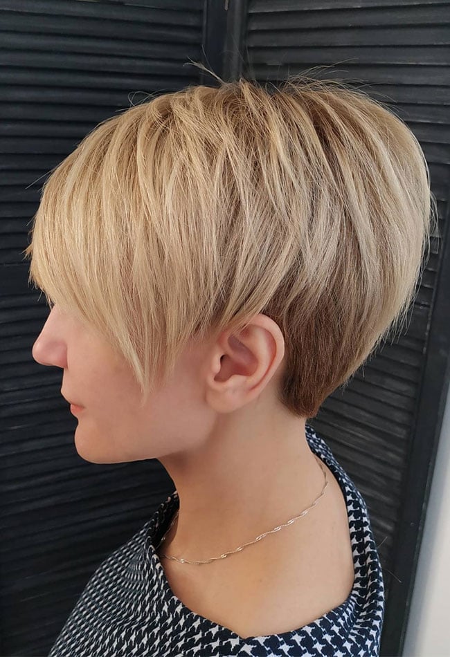 Blonde Pixie Bob With Graduated Length Blonde Pixie Bob With Graduated Length
