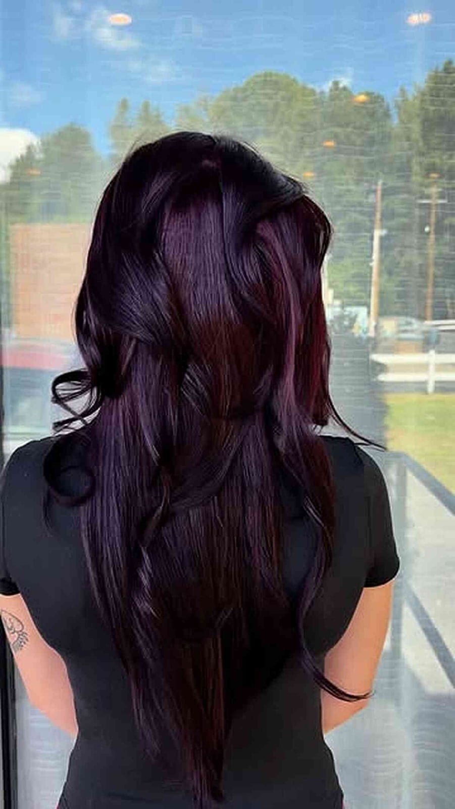 Mid-Back Deep Plum With Violet Undertones — Plum Hair