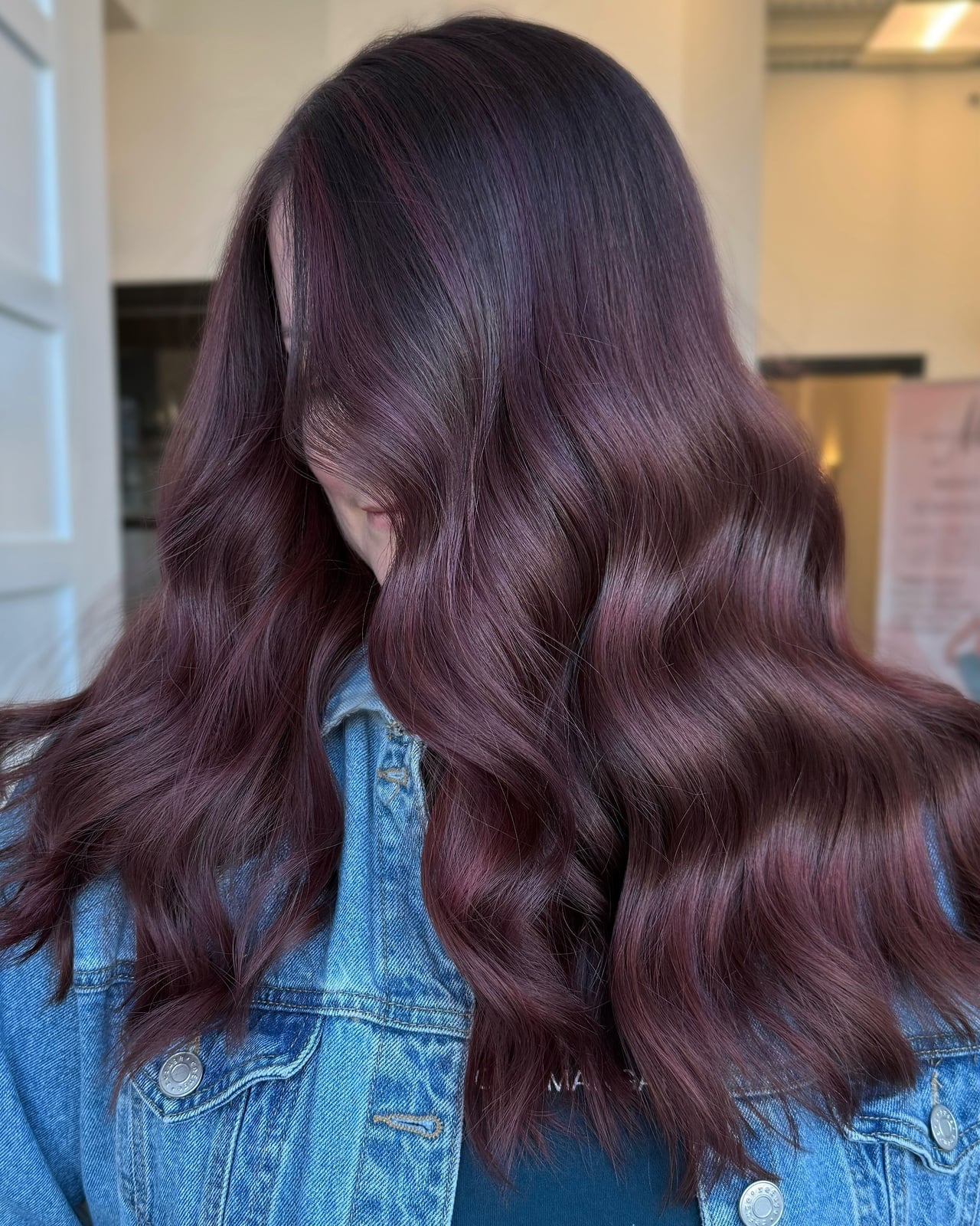 Back View Deep Plum With Subtle Highlights — Plum Hair