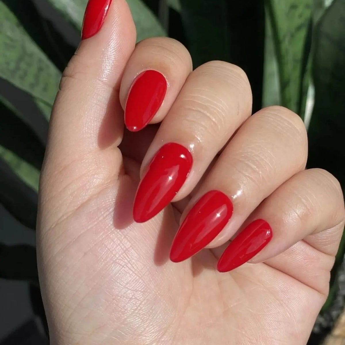 Bright Opaque Red Glossy Medium Almond Nails, Highlighting The Clean — Red Nails
